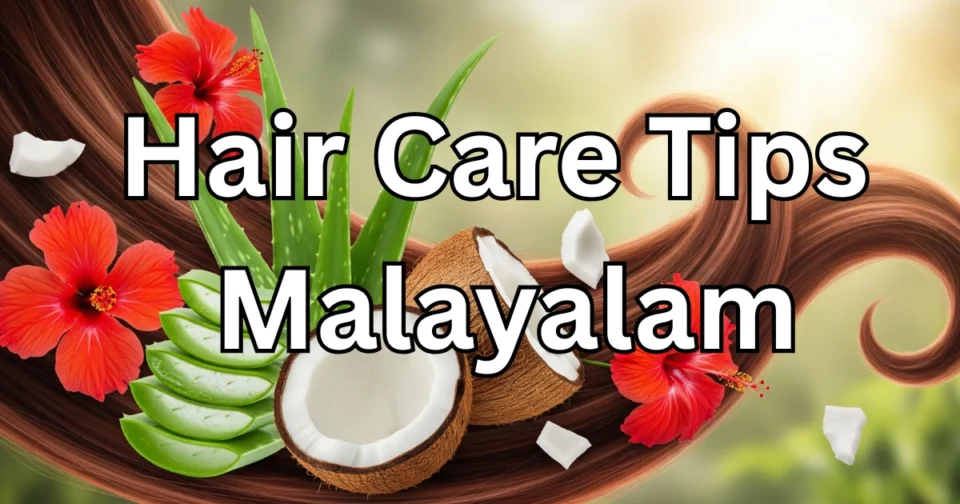മുടി സംരക്ഷണം, മുടിക്കുള്ള നാടൻ കൂട്ടുകൾ, കറ്റാർവാഴ, ചെമ്പരത്തി, വെളിച്ചെണ്ണ hair