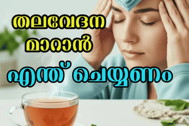 തലവേദന മാറ്റാൻ വീട്ടുവൈദ്യം | Headache Home Remedies Guide