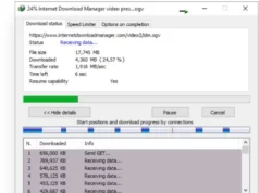 Internet Download Manager